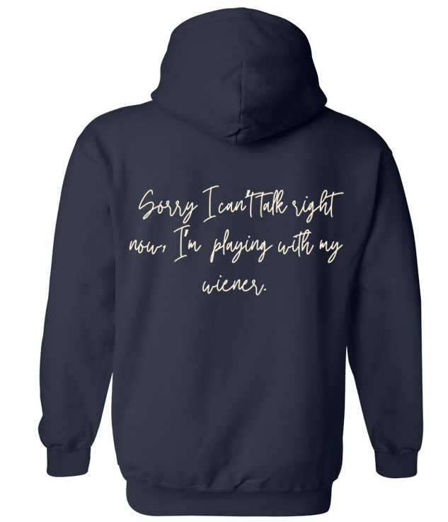 playing with wiener hoodie navy